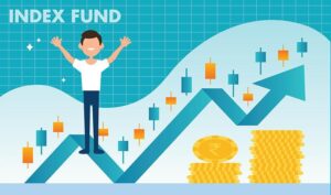 What is index fund in hindi